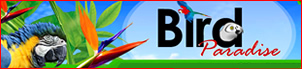 Bird store / Pets store - Website shopping cart