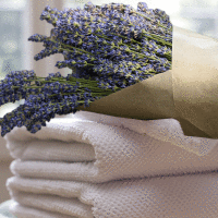 Linen and Lavender Fragrance Oil*