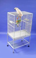 FLIGHT & AVIARY CAGES