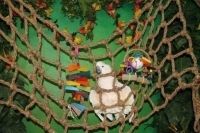 Aronico Canopy Medium Short Cargo Net