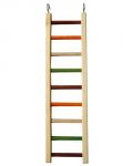 20" Bird Ladder
