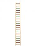 49" Bird Ladder