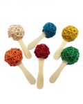 Popsicles 6 Pack - A&E Java Wood