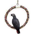 Lg Swing-N-Perch - JW Pet