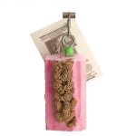 Millet Mini Log Cactus Snack-Polly's