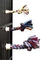 Lg Byrdy Bush - JW Pet