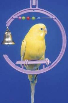 Swing with Beads-Penn Plax