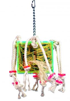 Sm Crazy Leather Box-Zoo Max