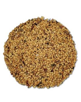 Chili Pepper Seed Per Lb