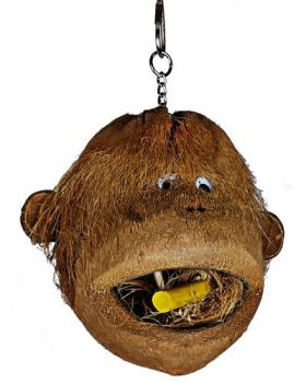 Coco Monkey - AE Java Wood