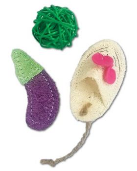 Loofah Eggplant, Ball & Mouse - A&E Nibbles