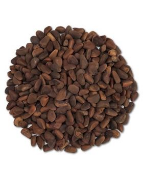 Pine Nuts (In Shell)