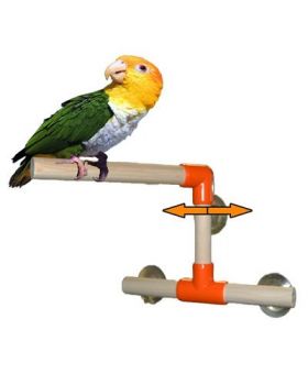 Sm Shower & Window Perch-Zoo Max 