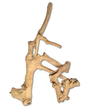 X-Large Java Multi Branch - AE Java Wood 