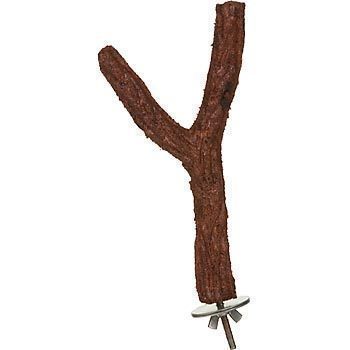 Lg Edible Branch Perch-Jungle Talk 